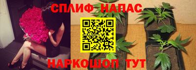 a pvp Заволжье